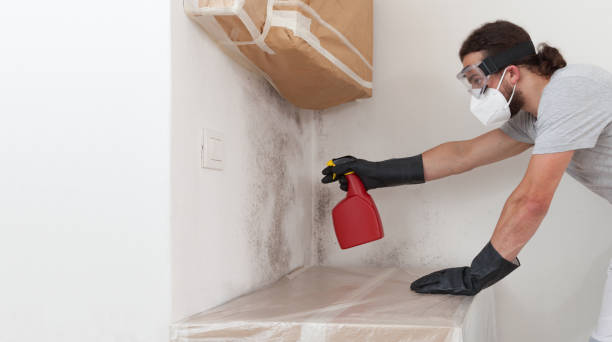 Professional Mold Removal technician working in Lorton, VA