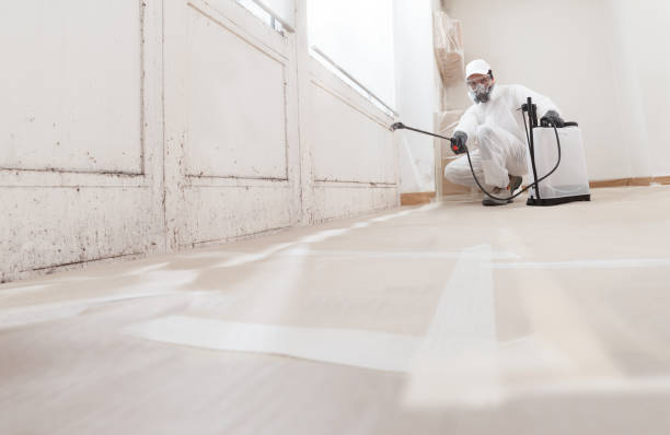 24/7 Emergency Mold Removal experts in Lorton, VA